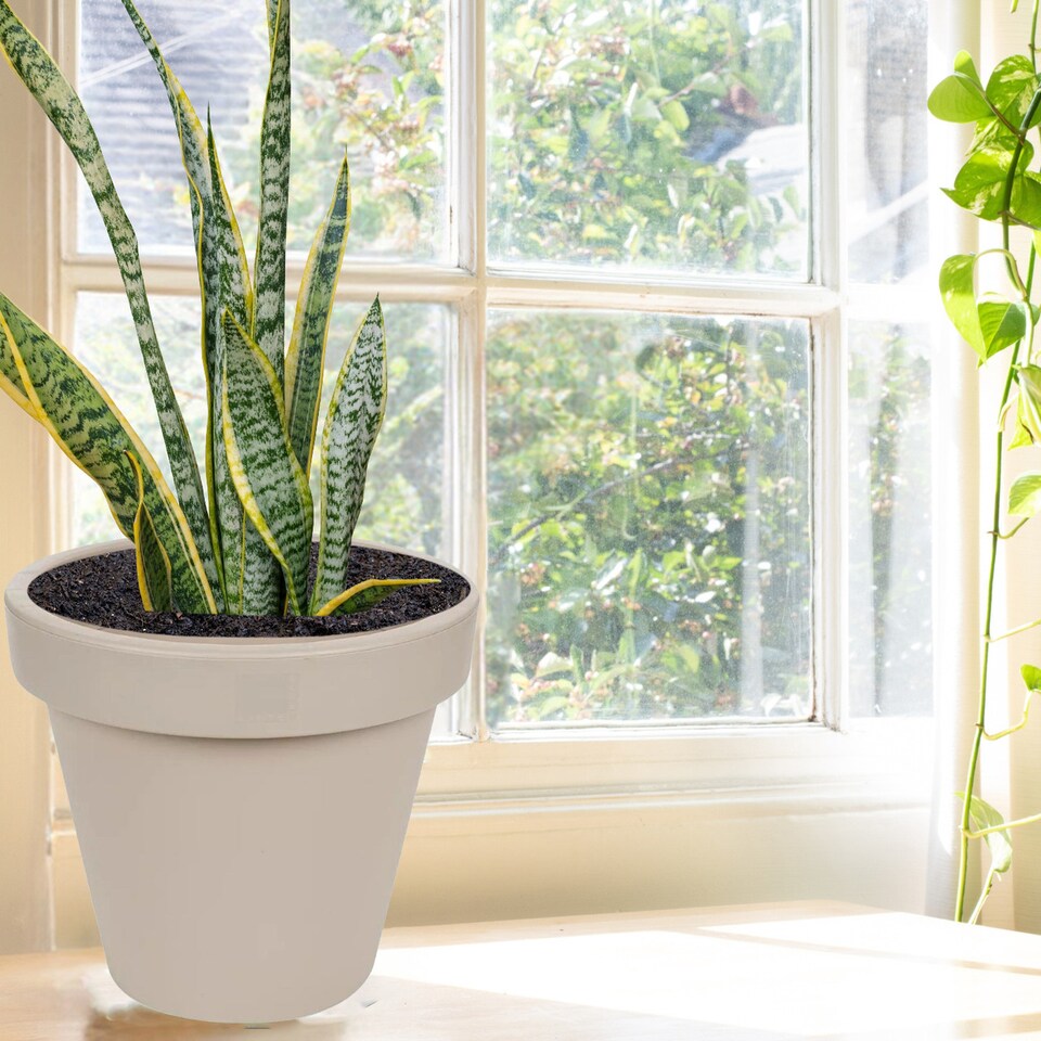 image 1 of 40cm Round Plastic Flower Pot | Brown | 1