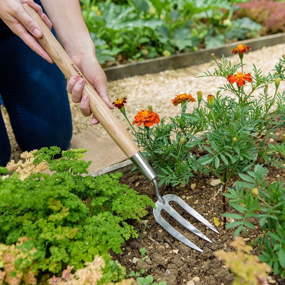 image 1 of Kent & Stowe Stainless Steel Border 3 Prong Cultivator | Multi | 21.4cm