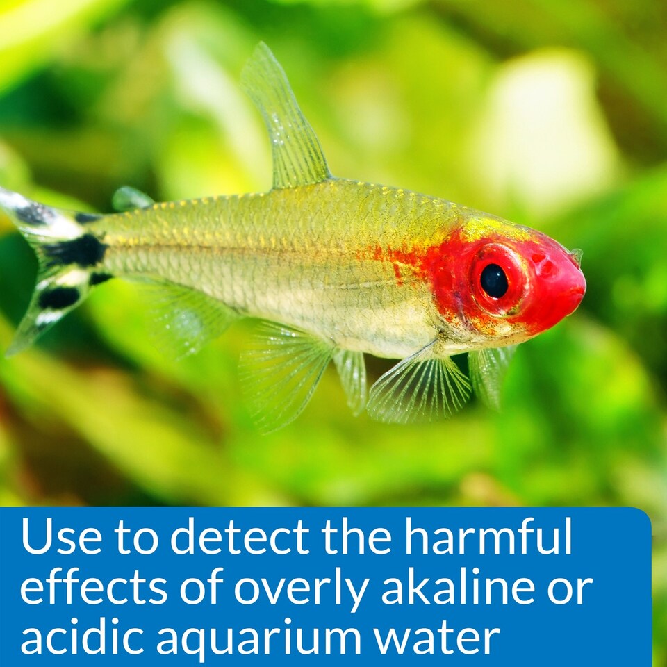 image 1 of API High Range pH Test Kit (160 Tests) Measures Elevated pH for Cichlids & Marine Tanks Aquarium Test Kit