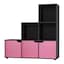 Black & Pink