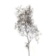 image 4 of Gaugemaster Scenics Seafoam Tree Set (GM195)