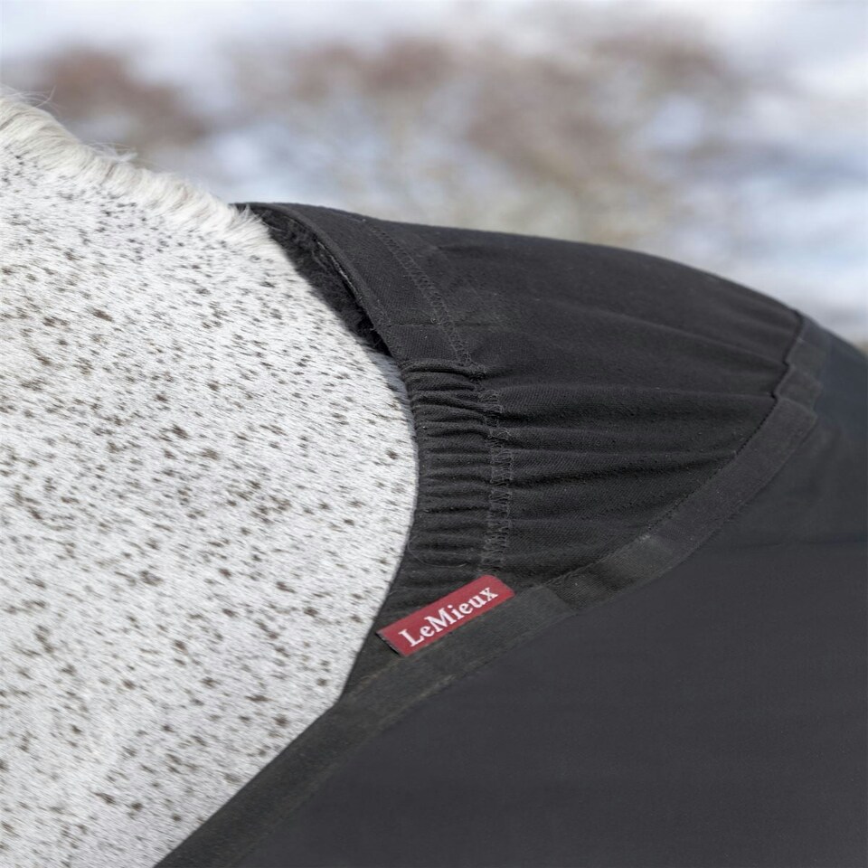 image 1 of LeMieux Anti Rub Bib Black | X-Large