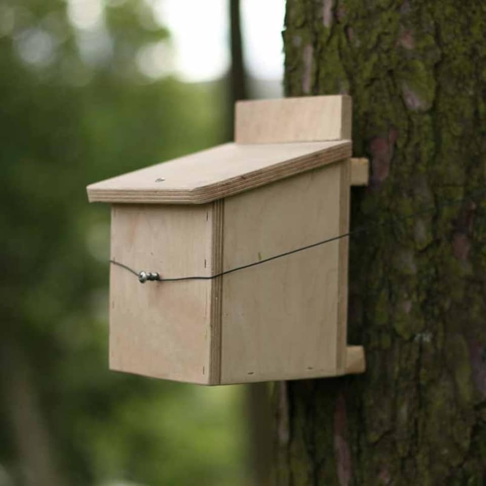 image 1 of Dormouse Nest box - Plywood - L15 x W13 x H21 cm Brown | One Size