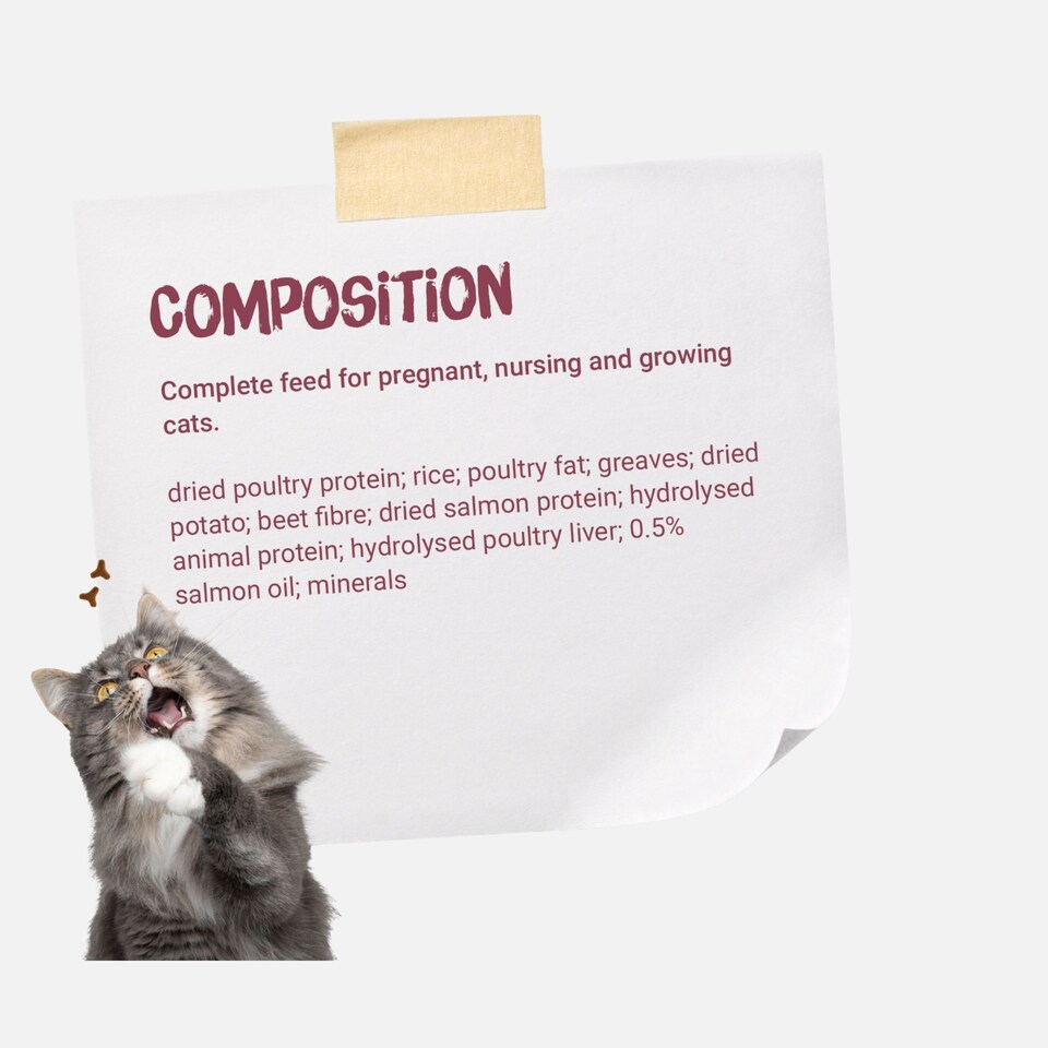 image 1 of Josera Kitten complete food | Growing kittens | Pregnant & nursing mothers | Optimal development | Omega 3 | Anti-Hairball | Gluten free | Skin & Coat | 8x0.4kg