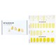 image 1 of Nail Sticker (yellow) - # Lemon Drop Nail - 32pcs Yellow