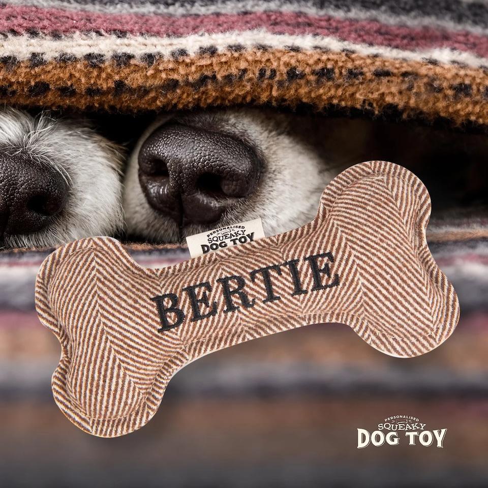image 1 of History & Heraldry Pre-Personalised Squeaky Bone Dog Toy - Bertie