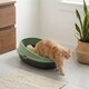 image 3 of Oval Cat Litter Tray Box with Rim | Green | 1