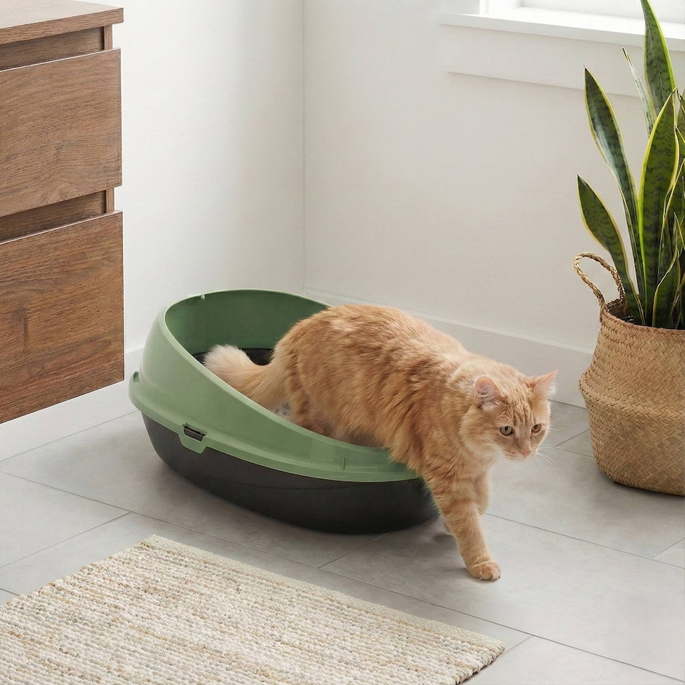 image 1 of Oval Cat Litter Tray Box with Rim | Green | 1