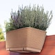 image 2 of Rato Rattan Design Plant Pots Rectangle Planter Large | Cream | Beige & Set of 1 | 1