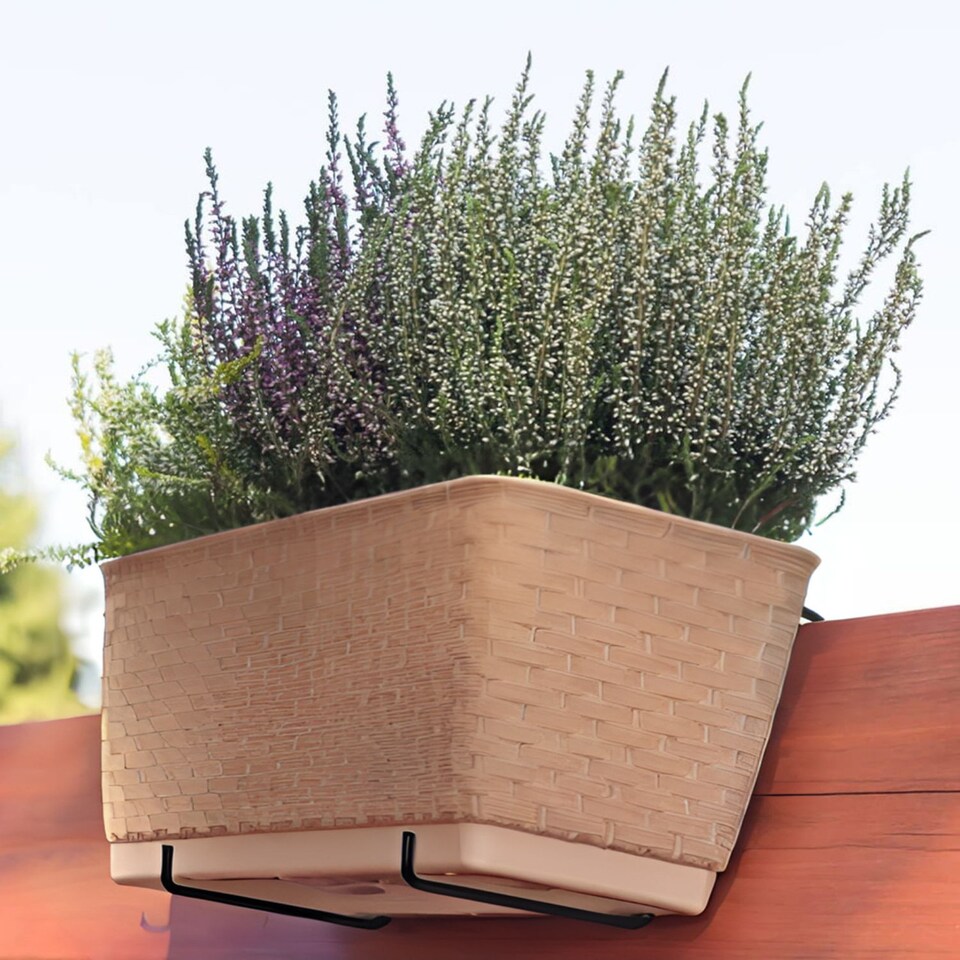 image 1 of Rato Rattan Design Plant Pots Rectangle Planter Large | Cream | Beige & Set of 1 | 1