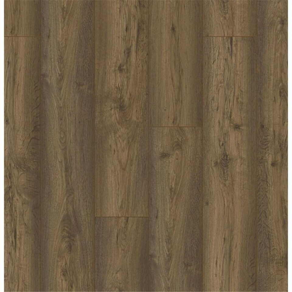 image 1 of PACK OF 15 (Total 15 Units) - Brown Oak 10mm Thick Laminate Flooring (25.95m2 Coverage)