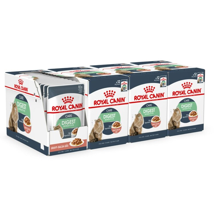 Royal Canin Wet Cat Food Digestive Care In Gravy Pouch 48 X 85 G