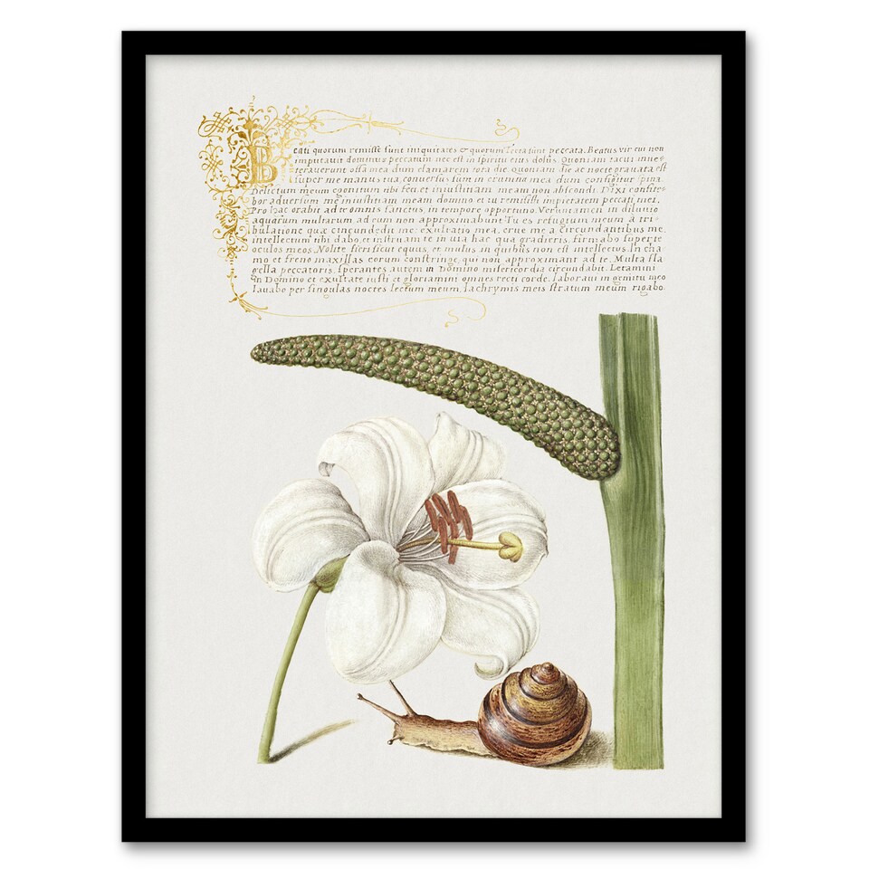 image 1 of White Lily Snail and Sweet Flag Calligraphy Framed Wall Art Print 12X16"