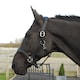 image 1 of Rhinegold Softee Pro Black | Size: Pony
Colour: Black