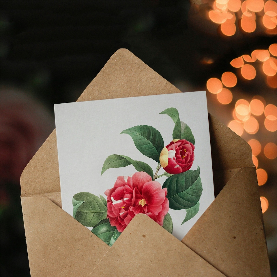 image 1 of Pierre-Joseph Redouté Art Card Camelia Vintage Floral Illustration