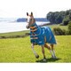 image 2 of Tempest Original Lite Horse Turnout Rug & Neck Cover Set - Teal - 5´ 6"