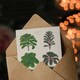 image 3 of Ernst Benary Art Card Kale and Brussel Sprouts Vintage Botanical