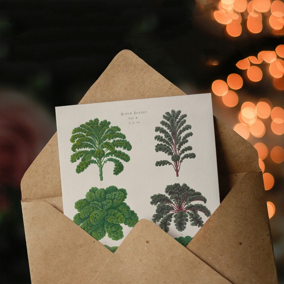 image 1 of Ernst Benary Art Card Kale and Brussel Sprouts Vintage Botanical