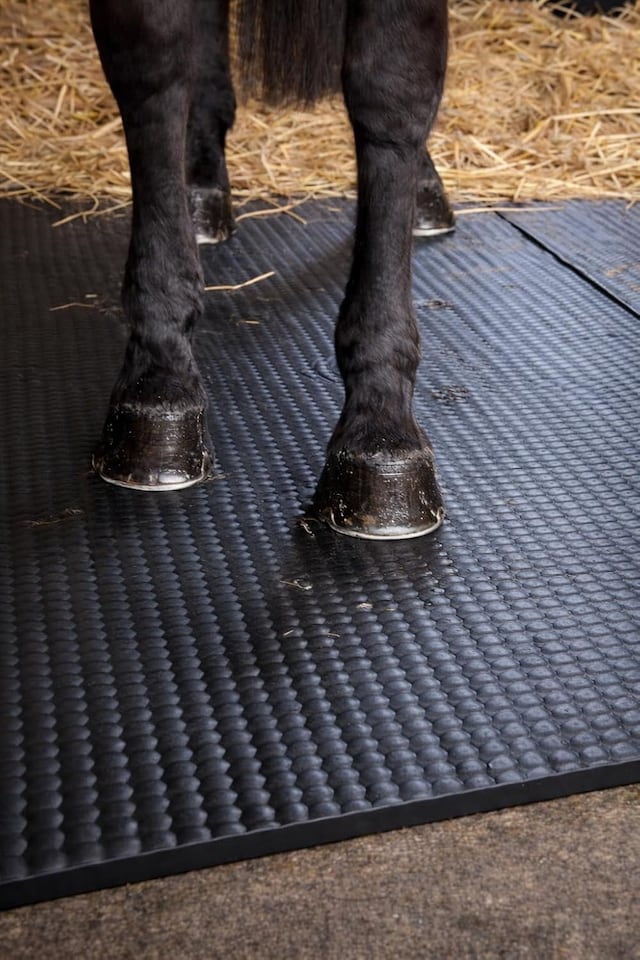 image 1 of Actiasmat EVA Horse Stable Mat – 6ft x 4ft (1.82m x 1.22m), 34mm Thick, Straight Edge Design