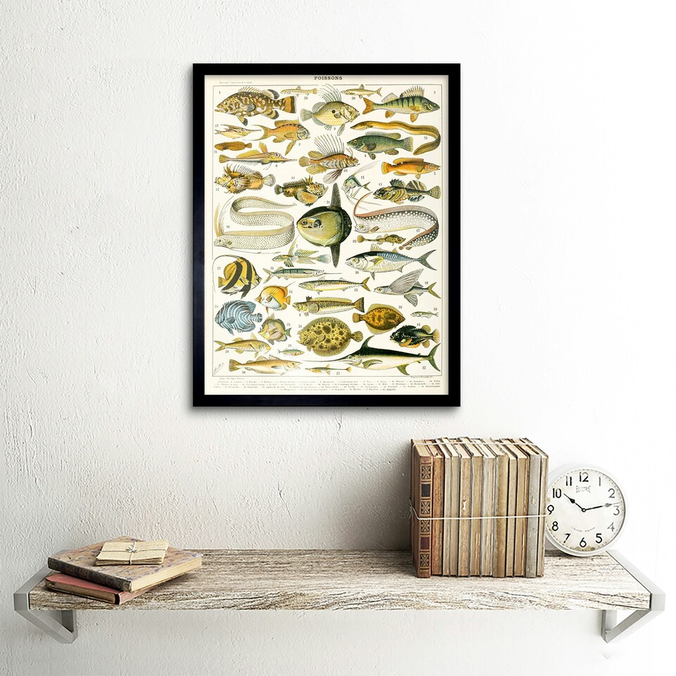 image 1 of Millot Encyclopedia Page Variety Sea Fish 12x16" Framed Wall Art Print
