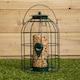 image 4 of Samuel Alexander Pack of 3 Hanging Nut Seed & Fat Ball Bird Feeders with Squirrel Guard