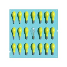 Yellow Bulbs Splash Back | White