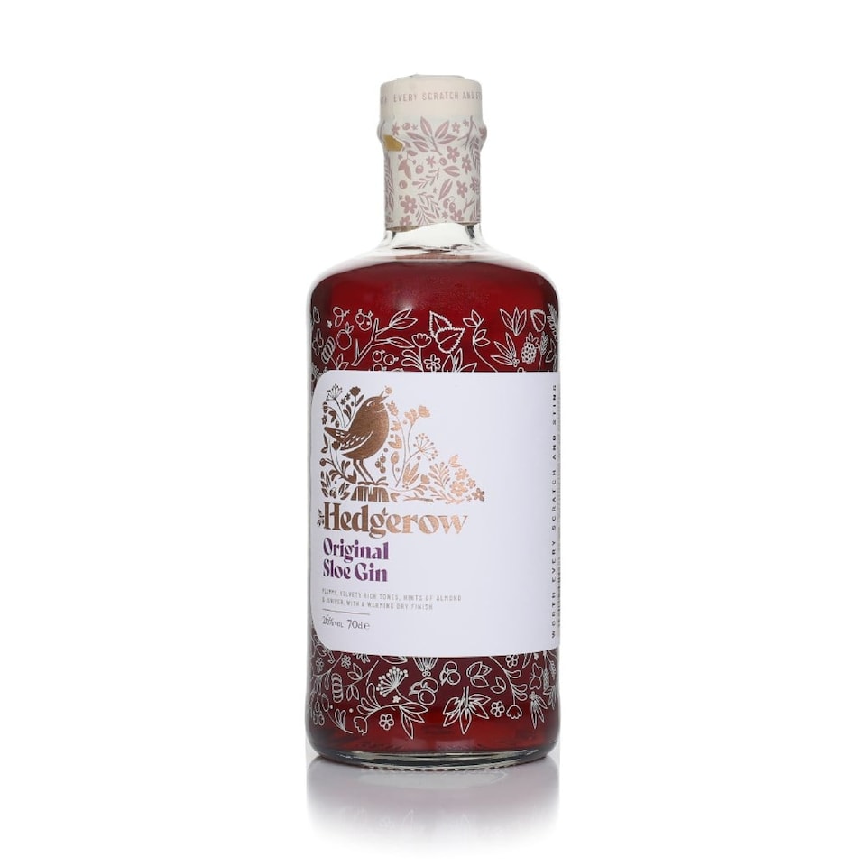 image 1 of Sloemotion Sloe Gin | Clear