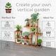 image 4 of Neo 6 Tier Wooden Plant Stand for Balcony Indoor Garden & Patio Outdoor Flower Shelf Display Rack