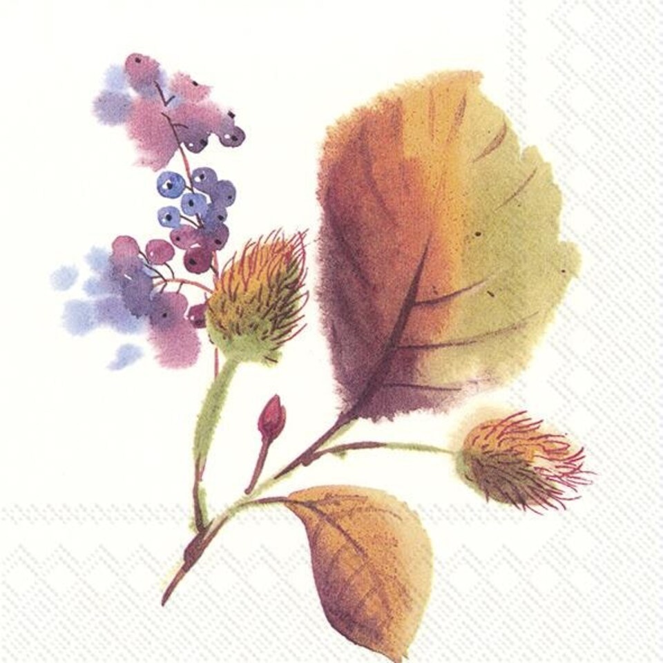 IHR Ideal Home Range Lunch Napkins 3ply 20 Pack Magic Of Autumn Cream
