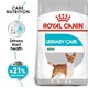 image 1 of Royal Canin Mini Light Weight Care Adult Dry Dog Food - 3 kg | Multi | 3kg | 1
