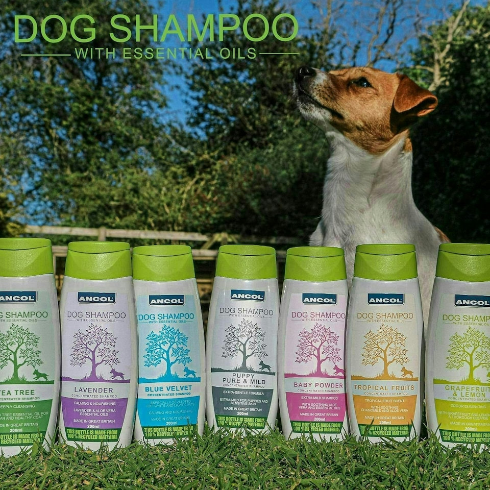 image 1 of Ancol Dog Shampoo Blue Velvet 200ml