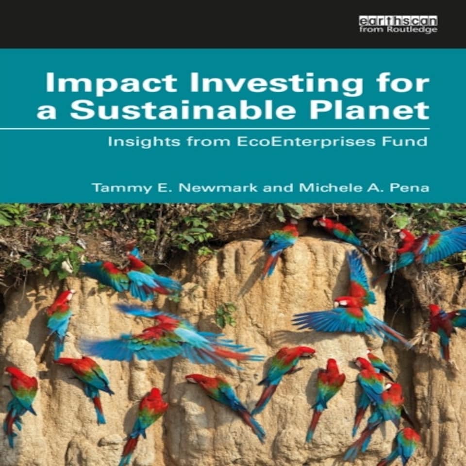 Impact Investing For A Sustainable Plane