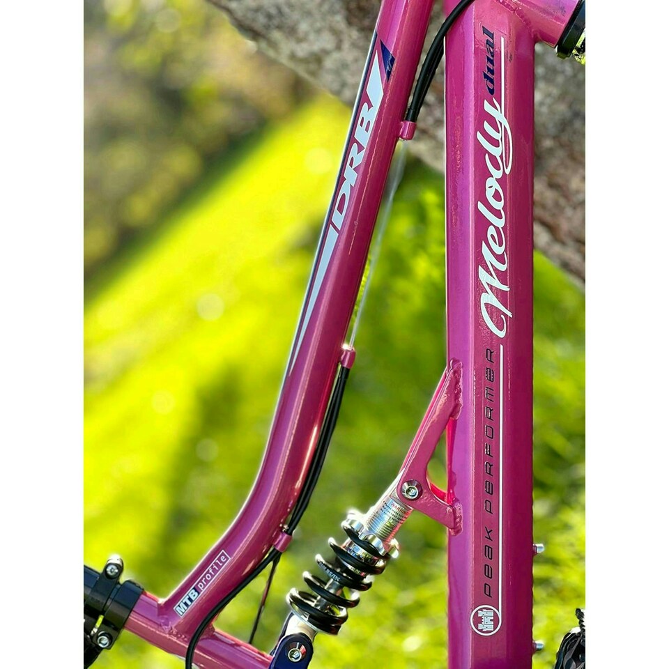 image 1 of Dallingridge Melody 20" Girls Full Suspension Mountain Bike - Pink/Blue
