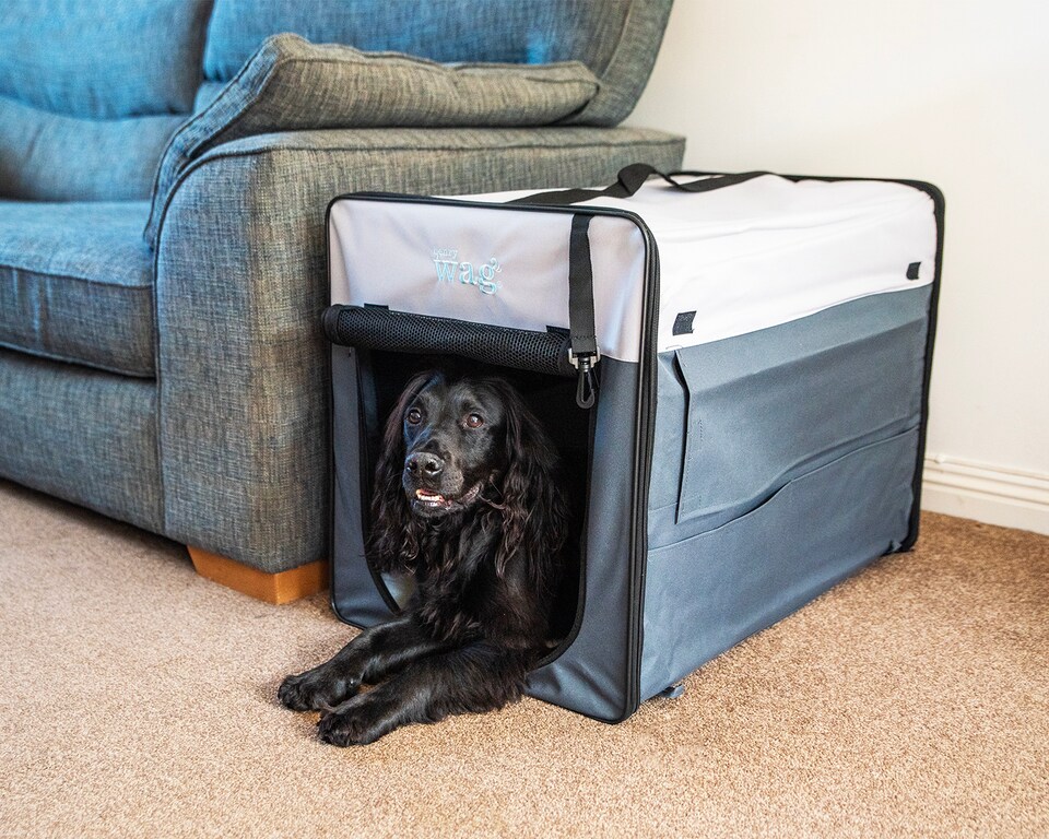 image 1 of Henry Wag Folding Fabric Travel Crate, Perfect For Home, Outdoor Use, Or Travel, Size Large | Grey | Grey | Large | 1