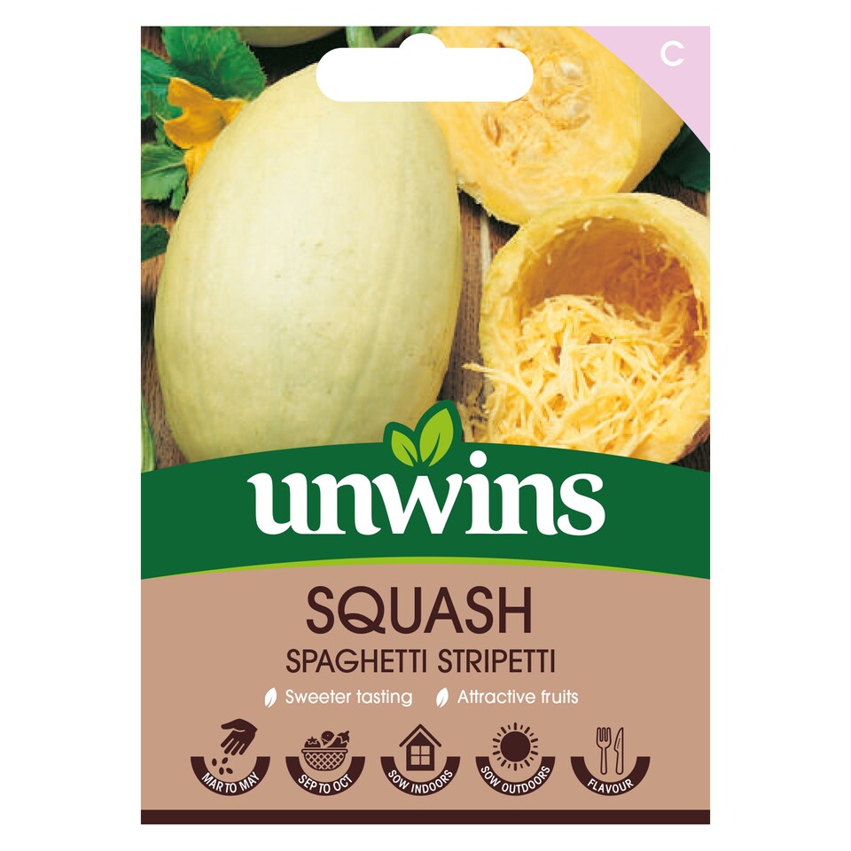 image 1 of Squash (Winter) Spaghetti Stripetti
