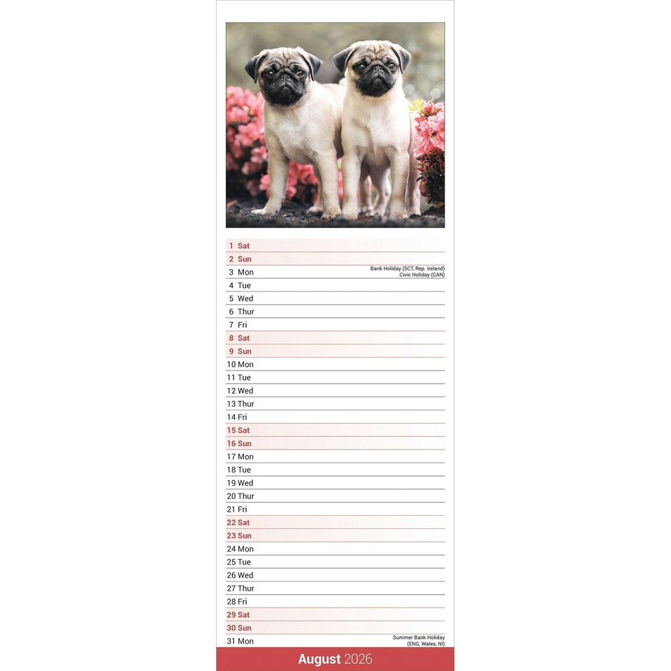 image 1 of Pug Slim 2026 Calendar | Slimline Wall Calendar | Dog Breed Gift | Plastic Free Packaging | by Avonside Publishing [Calendar] Avonside Publishing Ltd