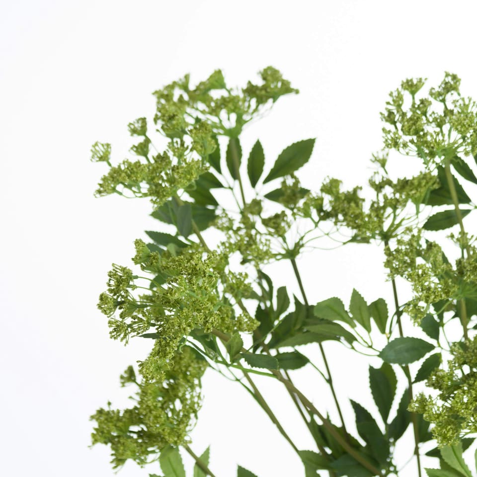 image 1 of Hill Interiors Faux Ammi - Green - One Size