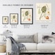 image 3 of Artichoke Broad beans and Groundcherry de Boodt Wall Art Poster Print 24X32"