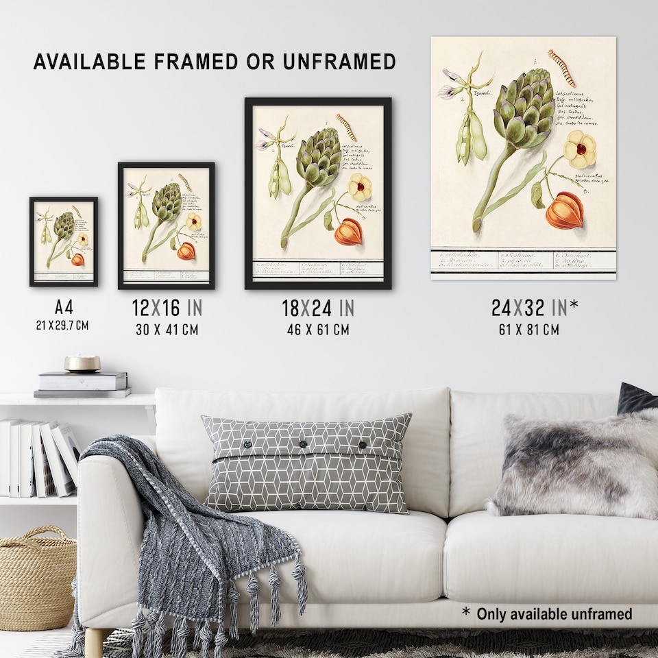 image 1 of Artichoke Broad beans and Groundcherry de Boodt Wall Art Poster Print 24X32"