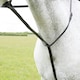 image 2 of Blenheim Leather Horse Standing Martingale - Black - Cob