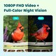 image 2 of BIRDFY FEEDER METAL AI RECOGNITION