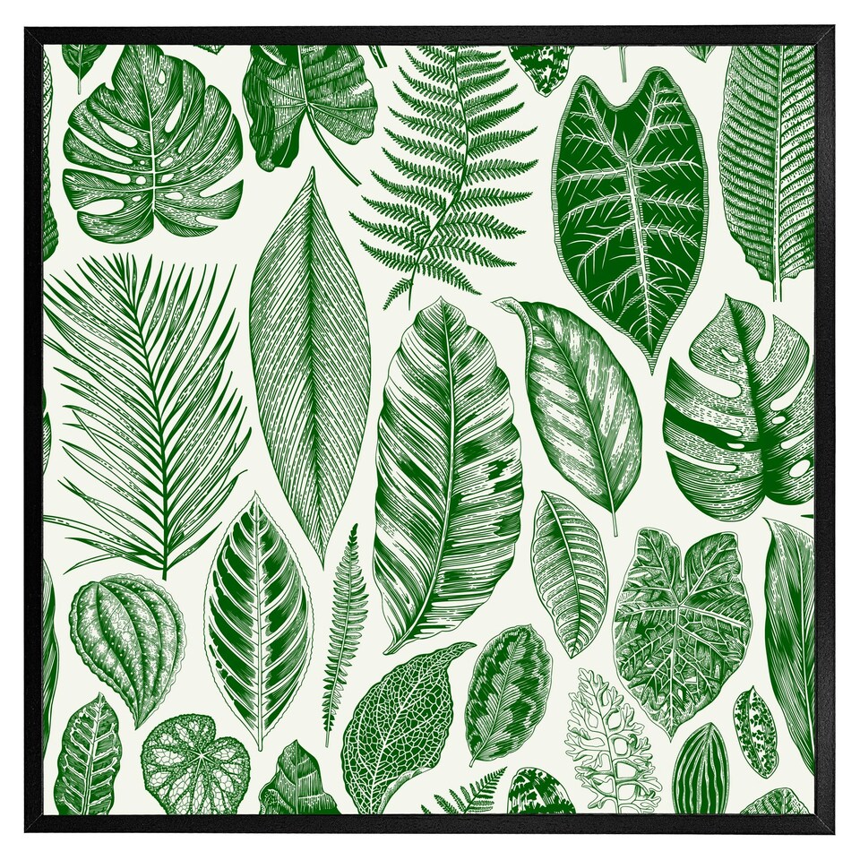 image 1 of Leaves mixed (Picture Frame) Black | XL