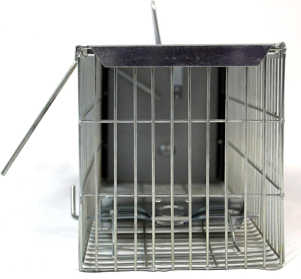 image 1 of Actiaspet - Heavy Duty Rat Trap/Metal Live Catch Cage with Transport Handle | Humane Rodent Catcher