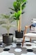 image 2 of Black Plant Pot - 46 cm (H) x 32 cm (Dia)