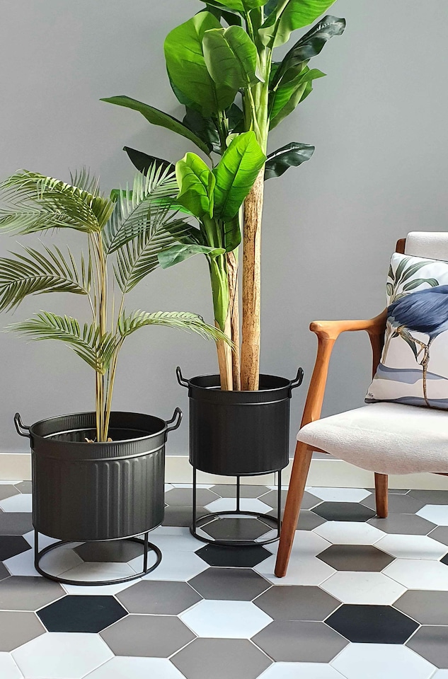 image 1 of Black Plant Pot - 46 cm (H) x 32 cm (Dia)