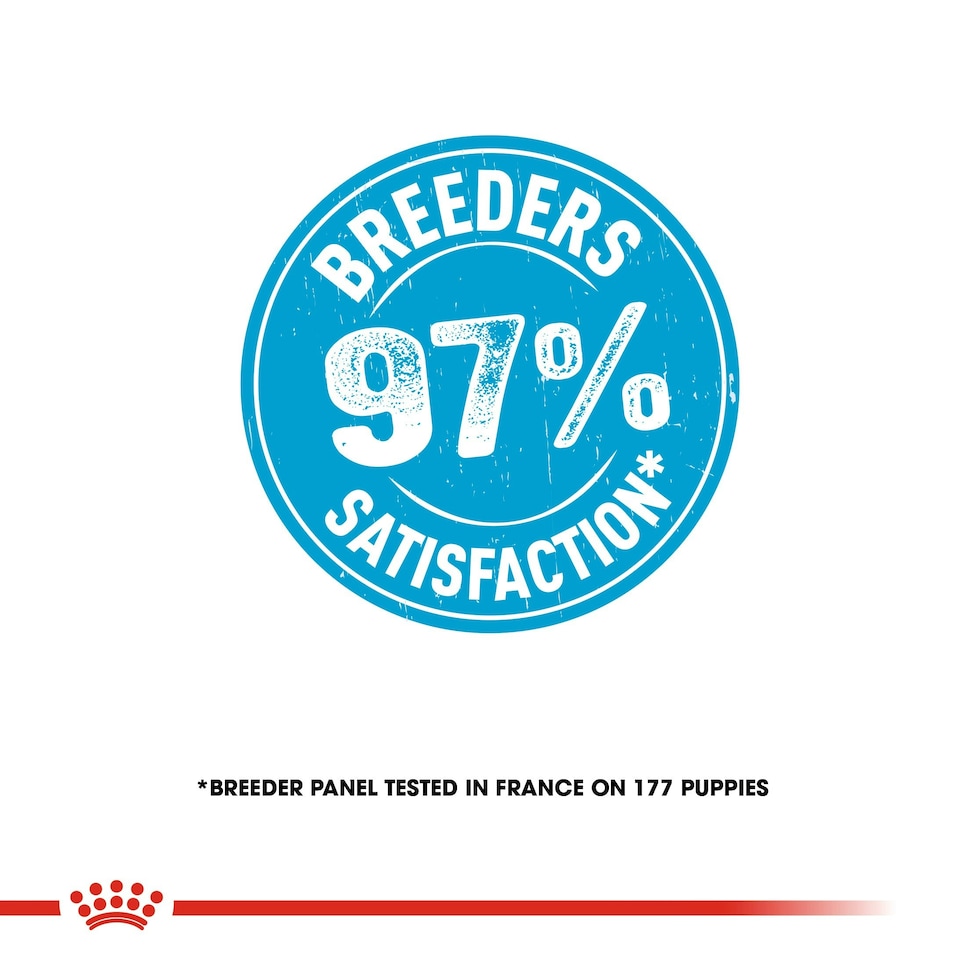 image 1 of ROYAL CANIN® Mini Starter Mother & Babydog Adult and Puppy Dry Food N/A | Size: 1kg