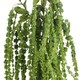 image 4 of Hill Interiors Faux Amaranthus - Green - 1m