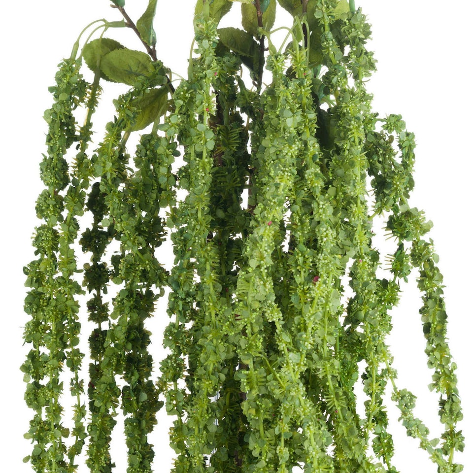 image 1 of Hill Interiors Faux Amaranthus - Green - 1m