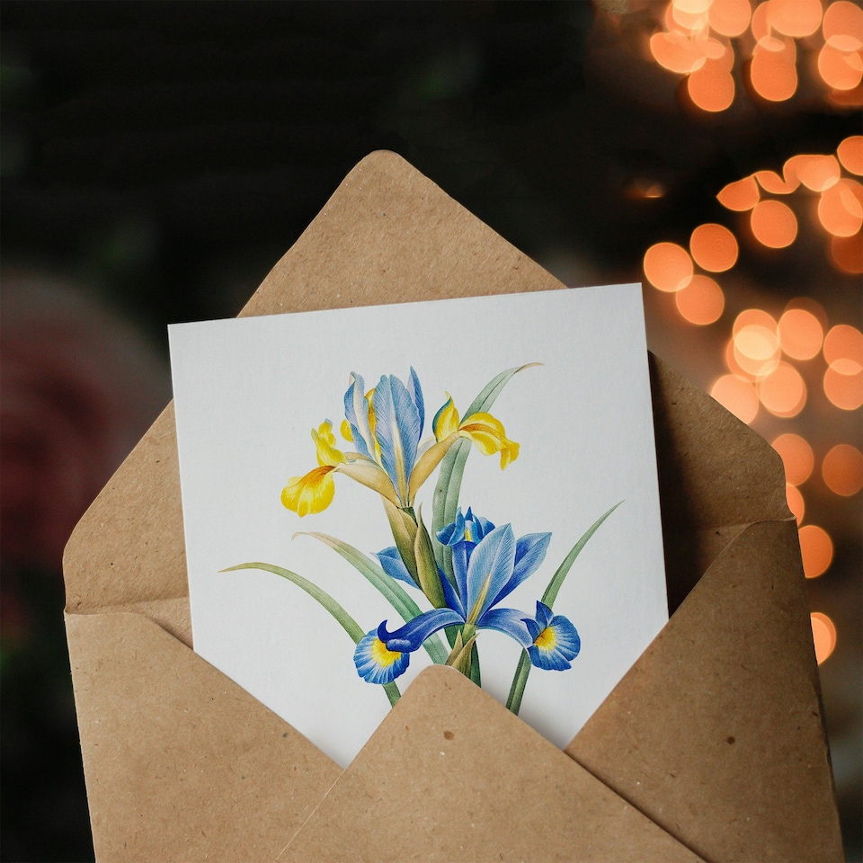 image 1 of Pierre-Joseph Redouté Art Card Spanish Iris Vintage Botanical