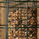 image 8 of Pack of 6 Wild Bird Hanging Nut Feeder with Squirrel Guard